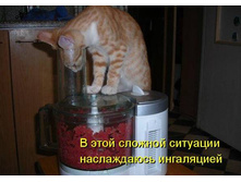 03.12.2010 12:54:17
