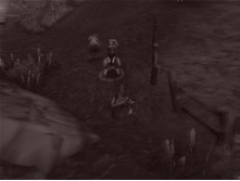 10.11.2009 14:03:32
