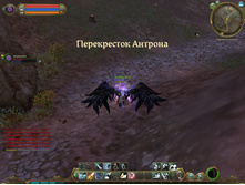 10.11.2009 14:06:39