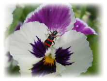 DSCN3623.JPG