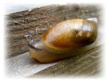 DSCN3627.JPG