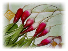 ������ \"�����\" �������, ���� \"18 ����\" :) DSCN3633.JPG