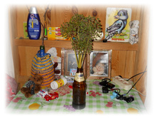 ������� :))) DSCN3637.JPG