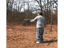 0_96ad8_79aa3ad_L.gif