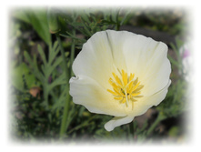 DSCN3662.JPG