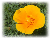DSCN3667.JPG