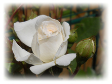 DSCN3669.JPG