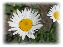 DSCN3670.JPG