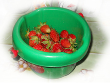 DSCN3682.JPG