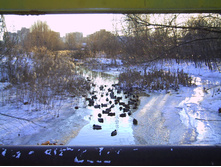 PICT0010.JPG