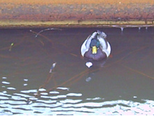 PICT0012.JPG