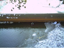 PICT0013.JPG