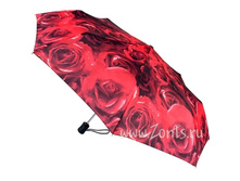 J346-1228 Photo Rose ���� 800�.jpg