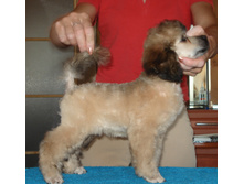 DSC03702.JPG