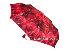 J346-2252 Photo Rose ���� 800�.jpg