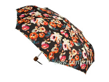 L354 Candy Floral ���� 630�.jpg