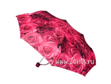 L354 Rose Pink ���� 630�.jpg