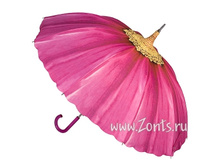 L753-2255 Pink Daisy ���� 1450�.jpg