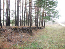 DSCF1241.JPG