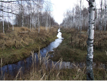 DSCF1244.JPG