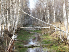 DSCF1250.JPG