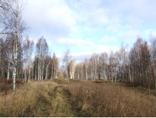 DSCF1251.JPG