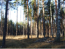 DSCF1260.JPG