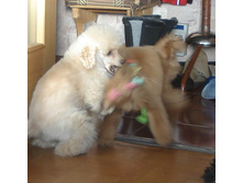 DSC01437.JPG