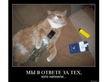 18.11.2009 10:29:34