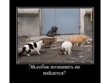 18.11.2009 10:31:35
