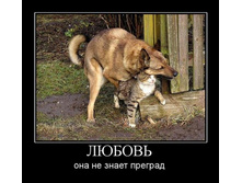 18.11.2009 10:37:33