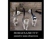 18.11.2009 10:38:49