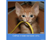 18.11.2009 10:47:21