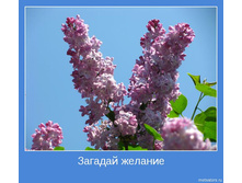 18.11.2009 10:51:08