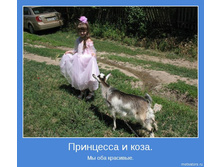 18.11.2009 10:55:53