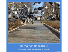 18.11.2009 10:56:57