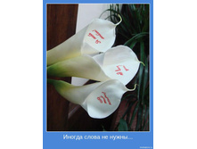 18.11.2009 10:59:18