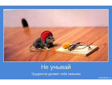 18.11.2009 11:03:23