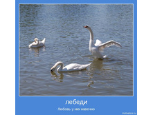 18.11.2009 11:03:53