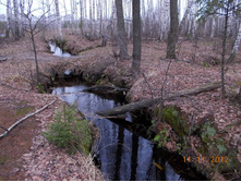 DSCN0762.JPG
