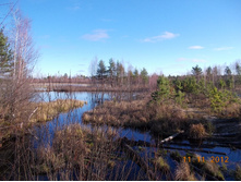DSCN0807.JPG