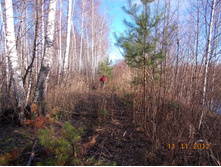 DSCN0810.JPG