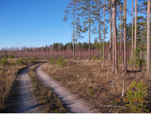 DSCN0814.JPG