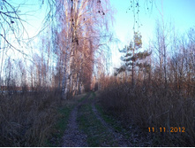 DSCN0820.JPG