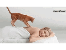 ������.gif