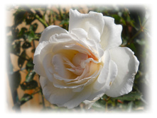 DSCN3689.JPG
