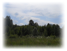 DSCN3693.JPG