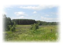 DSCN3701.JPG