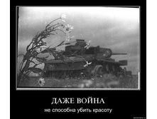 19.11.2009 9:43:48