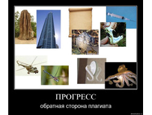 19.11.2009 9:44:37